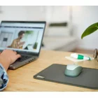 Datorpeles paliktnis Trust Boye Eco Green