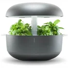 Plantui 6 Smart Garden Grey