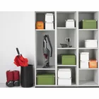 Putekļu sūcējs Gorenje SVC252GFA