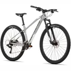 Velosipēds Rock Machine Manhattan 70-29 Grey 29" (L)