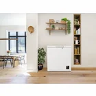 Saldētava Gorenje FH20E6W5