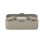 Austiņas Austiņas Sony in-ear WF1000XN.CE7 Gold