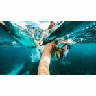 GoPro Adventure Kit (The Handler + Head Strap 2.0 + Compact Case)