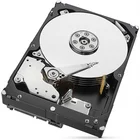 Iekšējais cietais disks Seagate Skyhawk Surveillance 3TB 5400RPM 256MB 3.5" ST3000VX009
