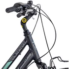 Velosipēds Stucchi Newport Lady Black 28"