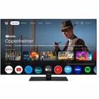 Televizors Panasonic 50" UHD LED Google TV TN-50W70AEZ