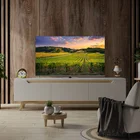 Televizors Thomson 55" UHD QLED Google TV 55QG5C14
