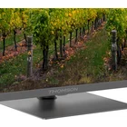 Televizors Thomson 55" UHD QLED Google TV 55QG5C14