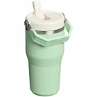 Termokrūze ar salmiņu Stanley The IceFlow Flip Straw 2.0 Tumbler 0.6l Pistachio