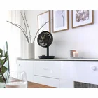 Ventilators Stylies Cepheus