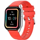 Viedpulkstenis Canyon Chatter SW-58 Silver Red