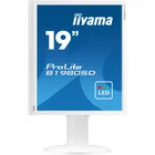 Monitors Iiyama B1980SD-W1 A 19"