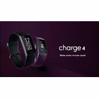 Fitnesa aproce Fitbit Charge 4 Rosewood Classic Band / Rosewood Tracker