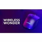 Datorpele Trust GXT 931 Ybar Wireless Multi-device Black 25330