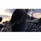 Bezvadu skaļrunis Harman Kardon Onyx Studio 7 Grey