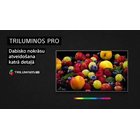 Sony 55'' UHD LED Android TV KD55X85JAEP