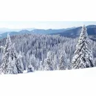 Stylies Elara White COP000850